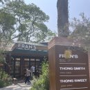 프랜즈 | 치앙마이 브런치카페 “Fran’s Chiangmai (프랜즈 치앙마이)” 후기