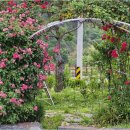 초록숲민박