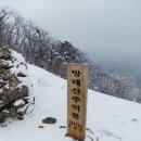 구룡1리 약수 이미지