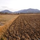 들길농장1 이미지