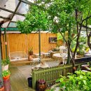 세실맛집 곤드레밥 이미지