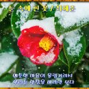 최*춘 - 가평군 백둔로 | 최*춘