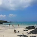 곽지관광지 이미지