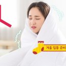 조철현마트