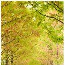 창원민박 이미지