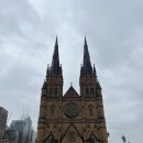 (주)뉴가야고속관광 | 시드니 관광, 수제버거 맛집 BAR LUCA, 캥거루 피자, citi cafe 후기