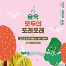 포레포레 이미지
