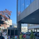 계산1동부내경로당 | [진해맛집] 진해 동부회센타 방문기 | 대방어회 가성비 끝판왕, 주차, 웨이팅 정보(매장식사, 포장)