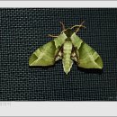 토담농가 이미지