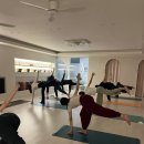 7193 | 울산 요가 l 나누다,요가 울산남구점에서 인사이드 플로우 제대로 배운 후기