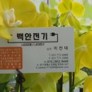 백안전기 이미지