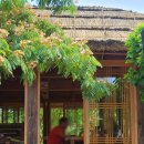 내성천펜션 | 국내 내륙 여행 경북 예천 삼강주막 마을 가을 축제 까지