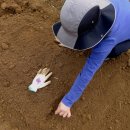 광성 농장 이미지