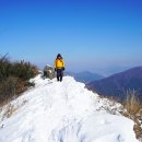 덕두산 Daum카페