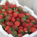 무내미농장 이미지