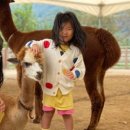 레이지507B 이미지