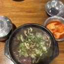 오땅비어양재시민의숲점