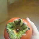 달콤홍시 이미지