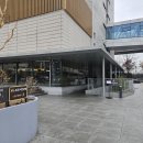 임차인 명도소송법무사, 세입자가 월세 전세금 미지급시