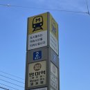 디온네일