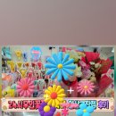 24시무인꽃집금싸빠 - 평택시 함박산7길 41 | 24시무인꽃집금싸빠
