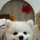 케이킁 이미지