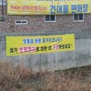 남해은멸치