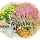 올레노래연습장 이미지
