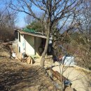 백세공원 이미지