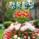 작은행복 이미지