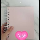 딱조은 | 조은킹 캥앨범 후기, 초음파앨범으로 딱 좋아요