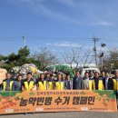 디지털 문해교육-오후 이미지