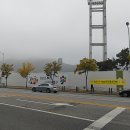 한밭야구장 이미지