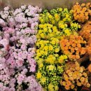 하이타운약국 이미지