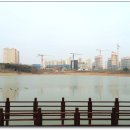 배다리저수지 사거리 이미지