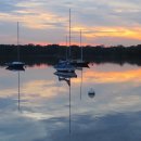 The Movement 이미지