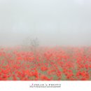 분황사주차장 이미지