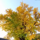 정읍동초등학교 이미지