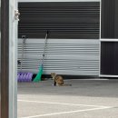 씨유 남양주수동송천점 | 남양주쇼파 추천 라인필소파 매장 방문 후기