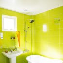 제주배또롱 이미지