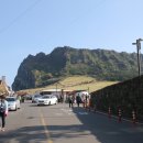 제주도보리빵맛집찾기 성산일출봉 근처 일출봉쑥빵보리빵 이미지