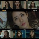 키마이라 스포츠경향