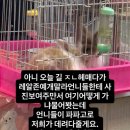케이투디 | 행복했던 충칭 여행