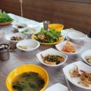 도갑사가는길호남식당 이미지