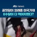 생태계 교란종인 미국가재 씨가 말라가는 중 이미지