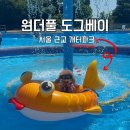 개터 | 원더풀도그베이 서울 근교 개터파크