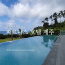 제1회 제주국제무용제 | 제주파르나스수영장 파르나스호텔제주 5성급 숙박 후기 예약꿀팁