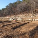 동신농장 이미지