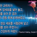 참빛에너지