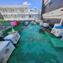 신흥여관 이미지